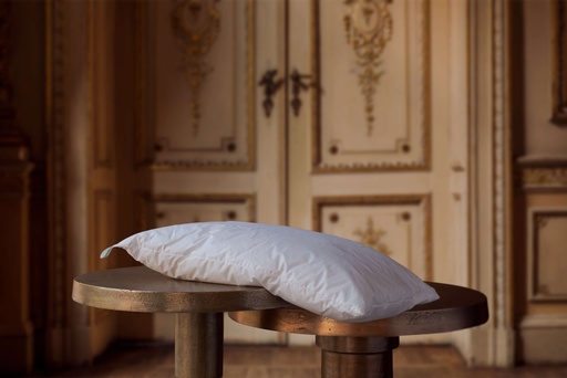 Oreiller Enfant Jupiter
