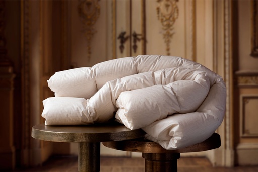 Couette Saturnus (Canaux)